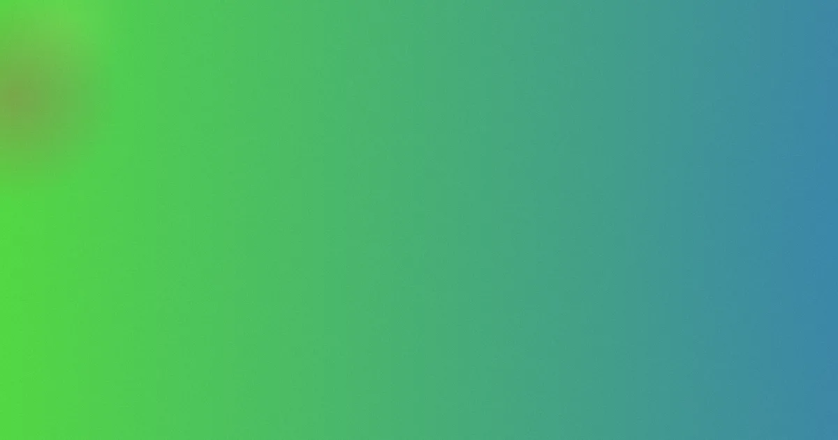 瑞丽市推荐：新手选点对比